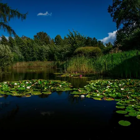Idilliska Latgaliesu Lauku Maja Ar Melno Pirti Villa Aglona Exterior photo