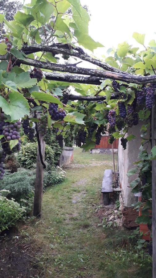 Idilliska Latgaliesu Lauku Maja Ar Melno Pirti Puhkemaja Aglona